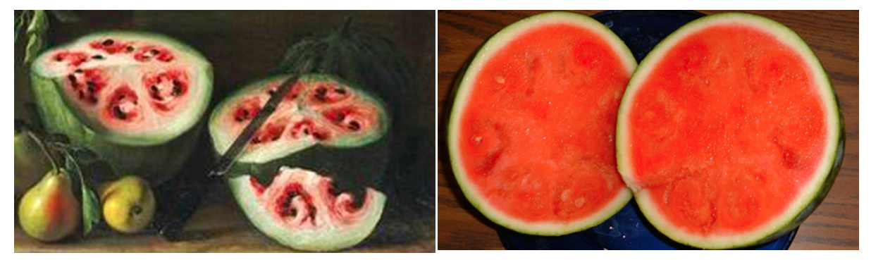 Melon d'eau autrefois